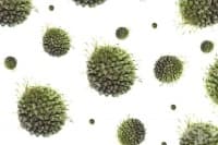 ��� ������ �� ��� ����� �� ����������� �� ������ ����